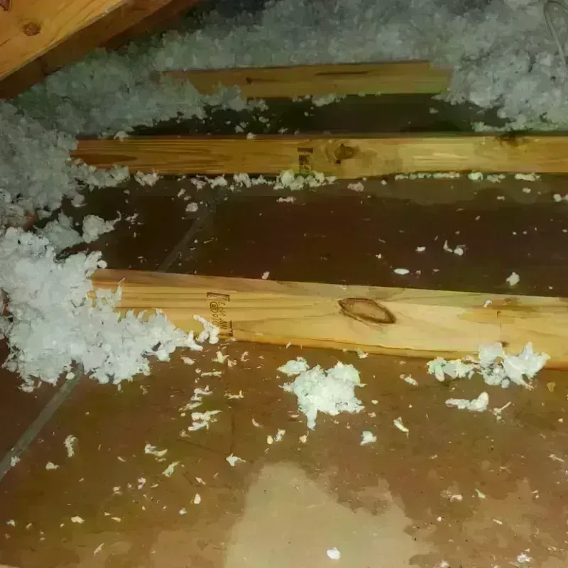 Attic Water Damage in West Barnstable, MA